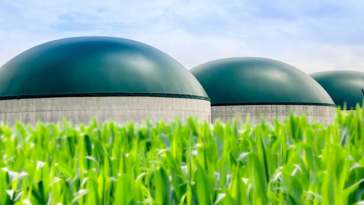 biogas-feld